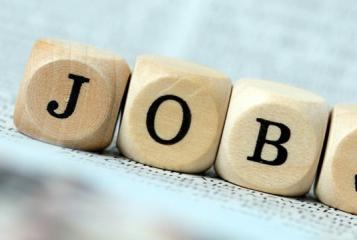 job3.jpg
